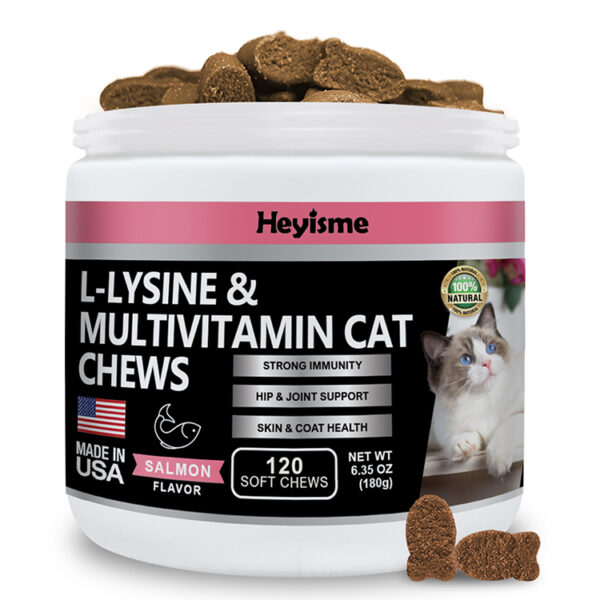 HEYISME Lysine Supplement for Cats, Cat Treats for Sneezing and Runny Nose, Cat Cold, Cat Immune Support, Eye Function, and Respiratory Health, L-Lysine Cat Vitamins for Cats (Salmon, 120 Chews)
